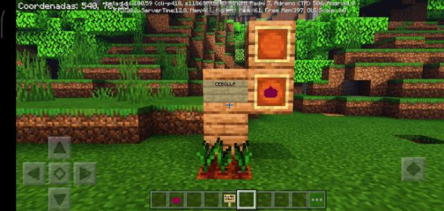 Грядка из лука