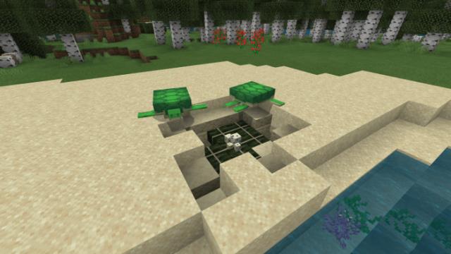 Гнезда черепах