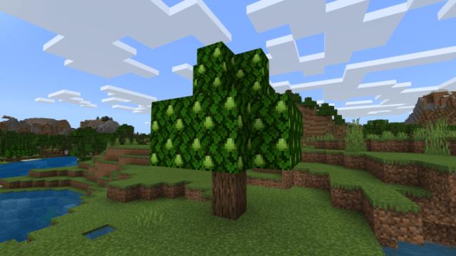 Грушевое дерево