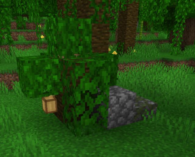 Мини-джунгли