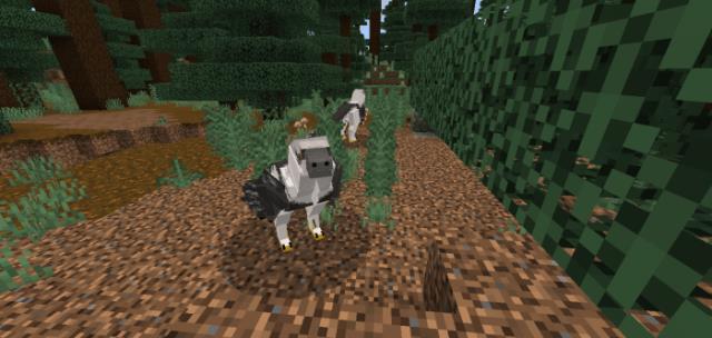 Дакотарапторс