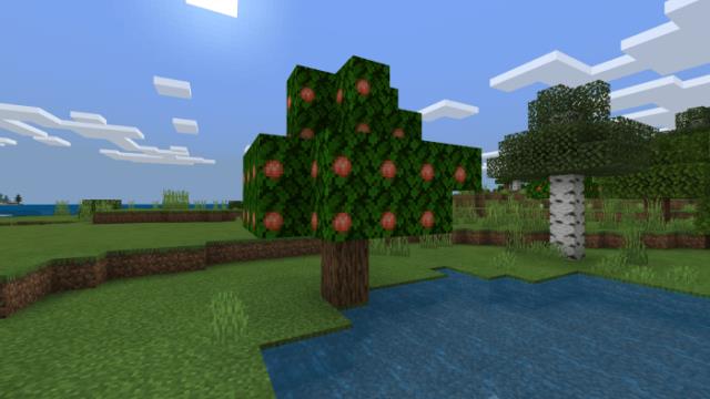 Персиковое дерево