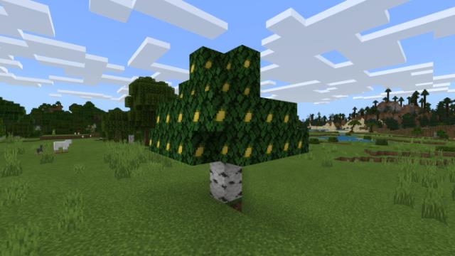 Лимонное дерево