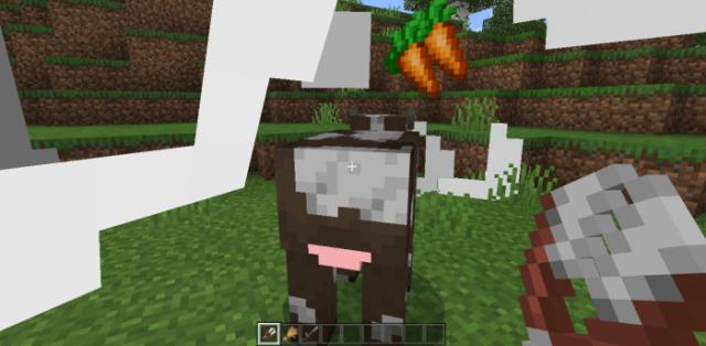 Корова сзади