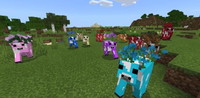 Разноцветные коровы