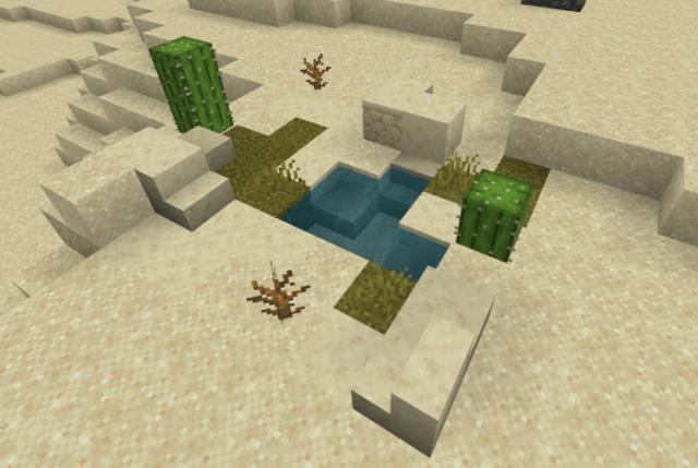 Маленький оазис