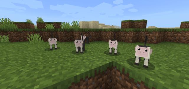 Обезьяна капуцин