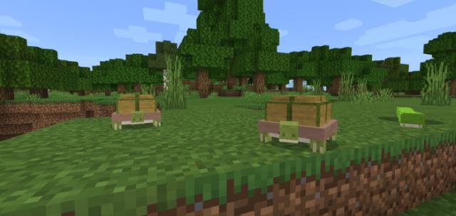 Сухопутная черепаха