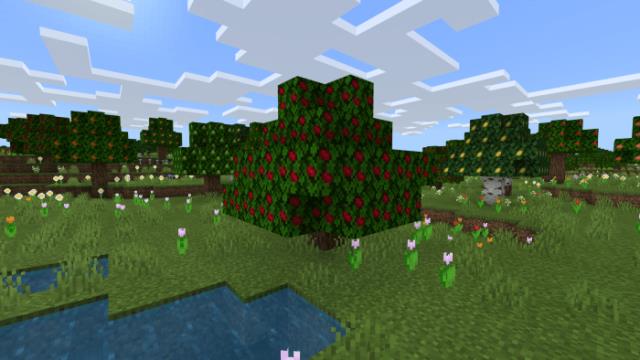 Вишневое дерево