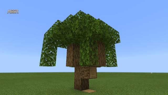 Маленькое дерево