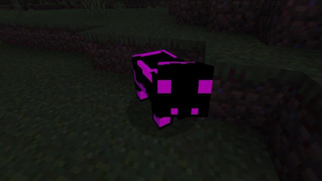 Светящаяся свинья