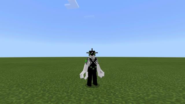 Игрок в виде двойника вид спереди