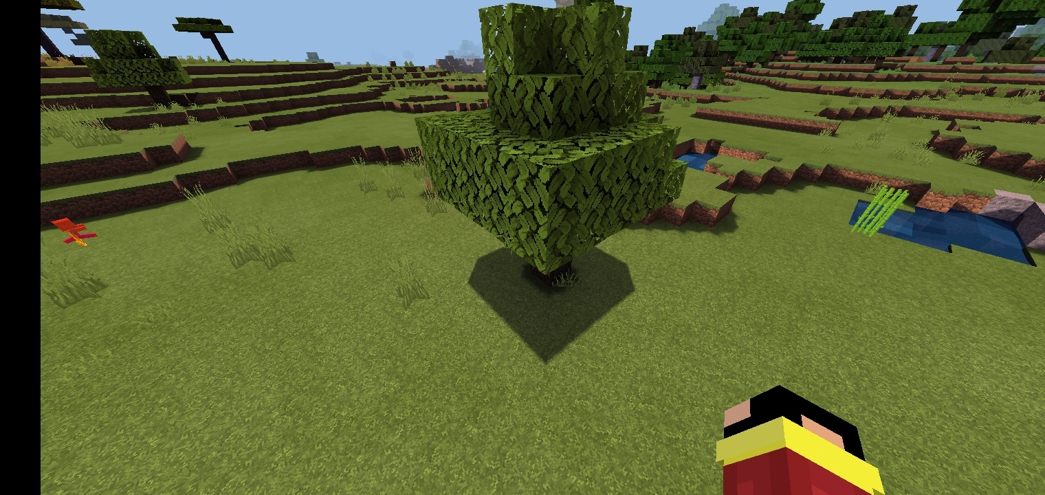 Одинокое деревце