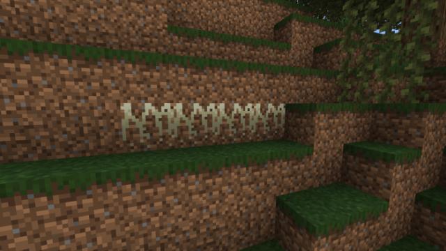 Корни на земле