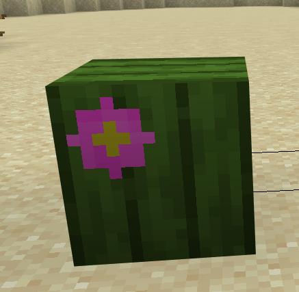 Стебель кактуса со цветком