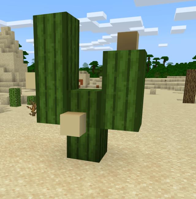 Первый вариант кактуса