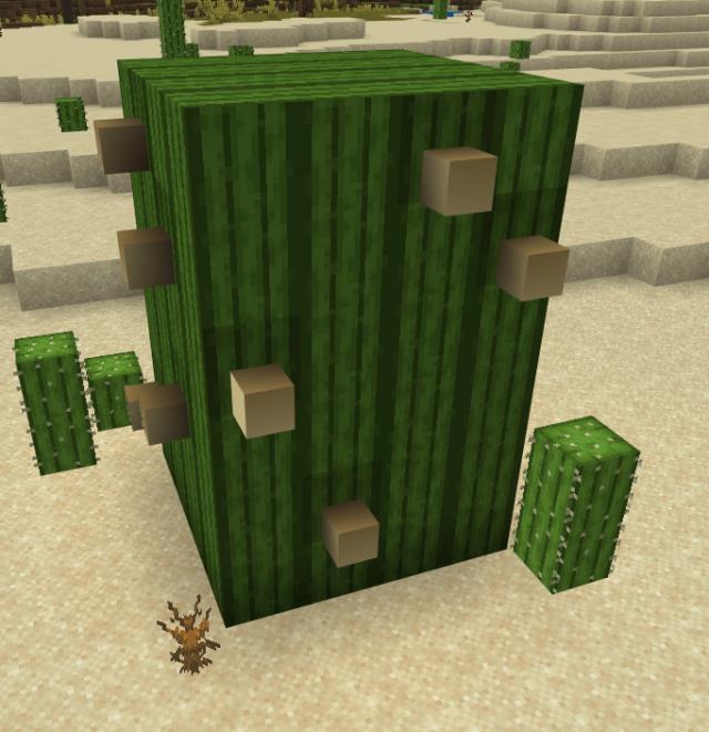 Гигантский кактус с шипами