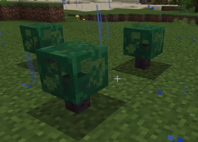 Мелкие кусты