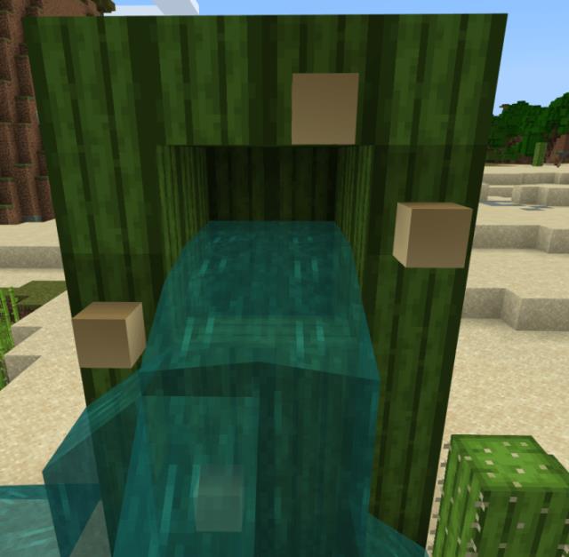 Вода внутри кактуса