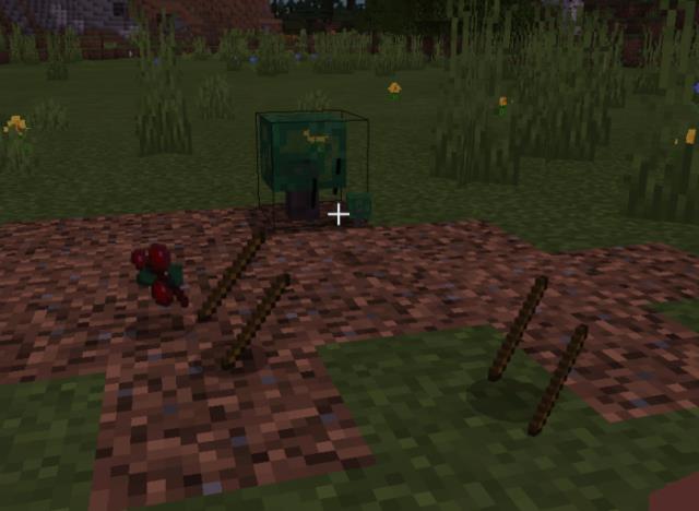 Мелкие кусты с ягодами