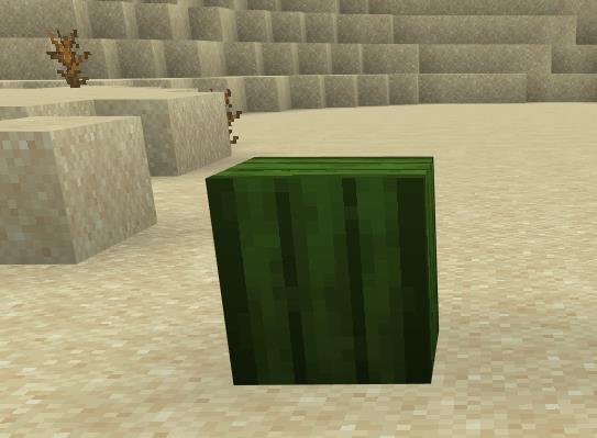 Стебель кактуса