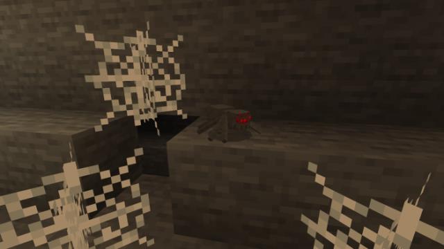 Крошечный паук