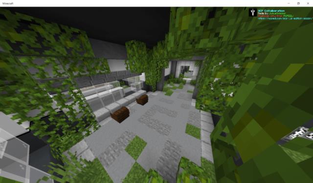 Заросшая листьями комната