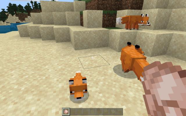 Семейка лисиц