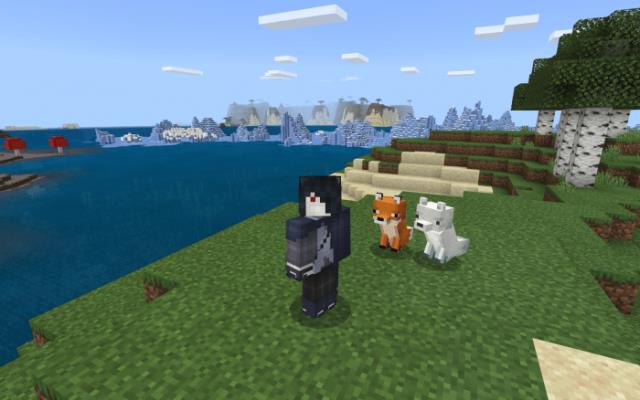 Обычная и арктическая лиса рядом с игроком