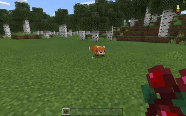 Подзыв лисы при помощи сладких ягод