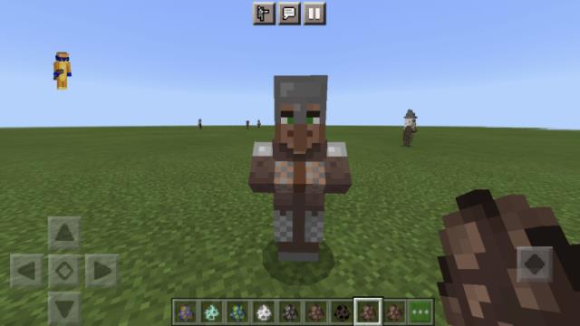 Сельчанин-защитник