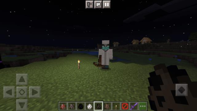 Сельчанин-доктор