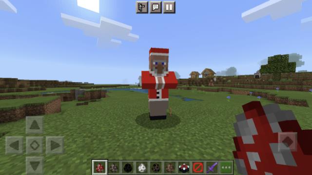 Сельчанин-Санта