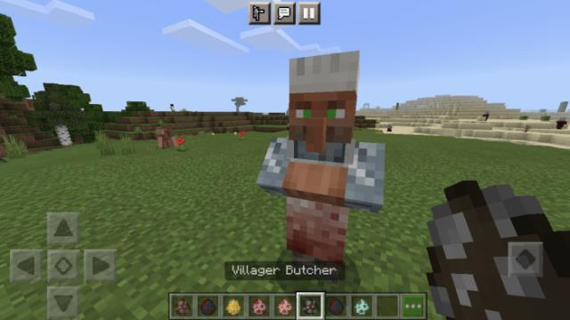 Сельчанин-мясник