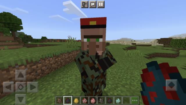 Командир-сельчанин