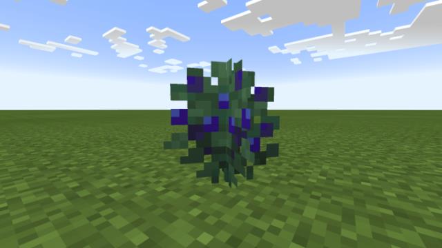 Куст сладких ягод