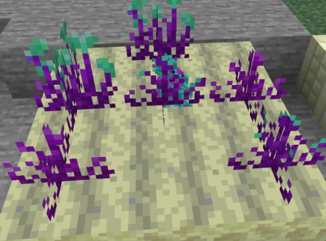 Рост растений на почве