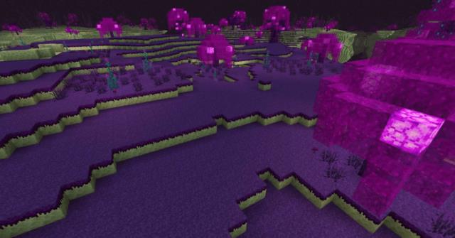 Биомы с большой растительностью