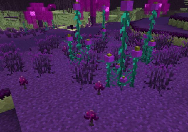 Растущие в Крае растения