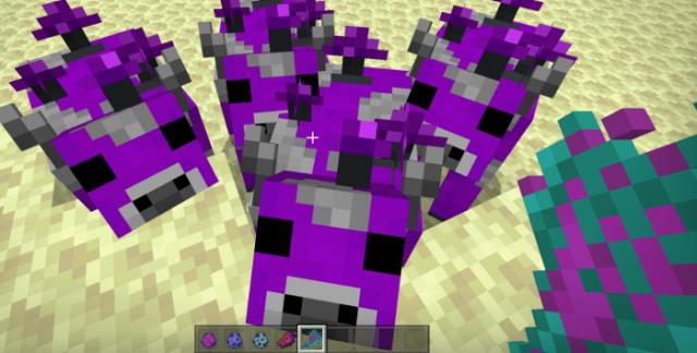 Коровы Края