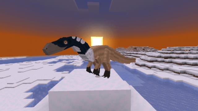 Имперобатор на закате