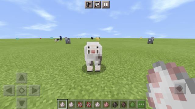 Рогатая овца