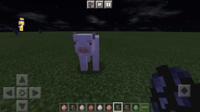 Закатная корова