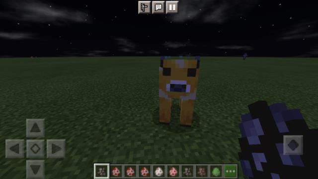 Янтарная курица