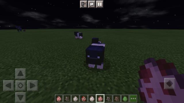 Пегая свинья