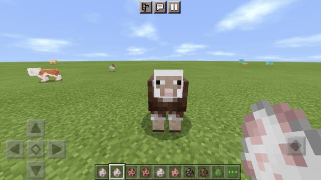 Пятнистая овца