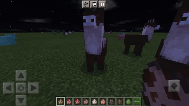 Веселая лама