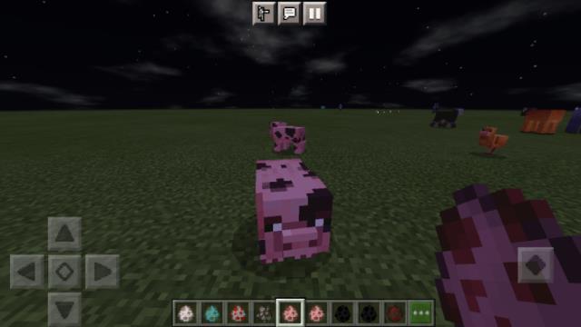 Грязная свинья