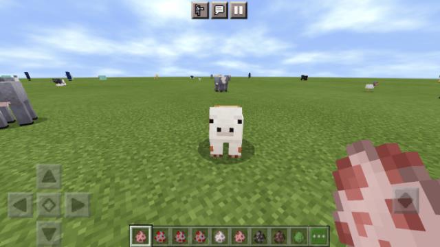 Пятнистая свинья