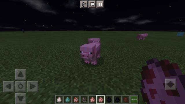 Корова-альбинос